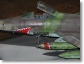 Turon05 F100 Croci detail 1-48.JPG